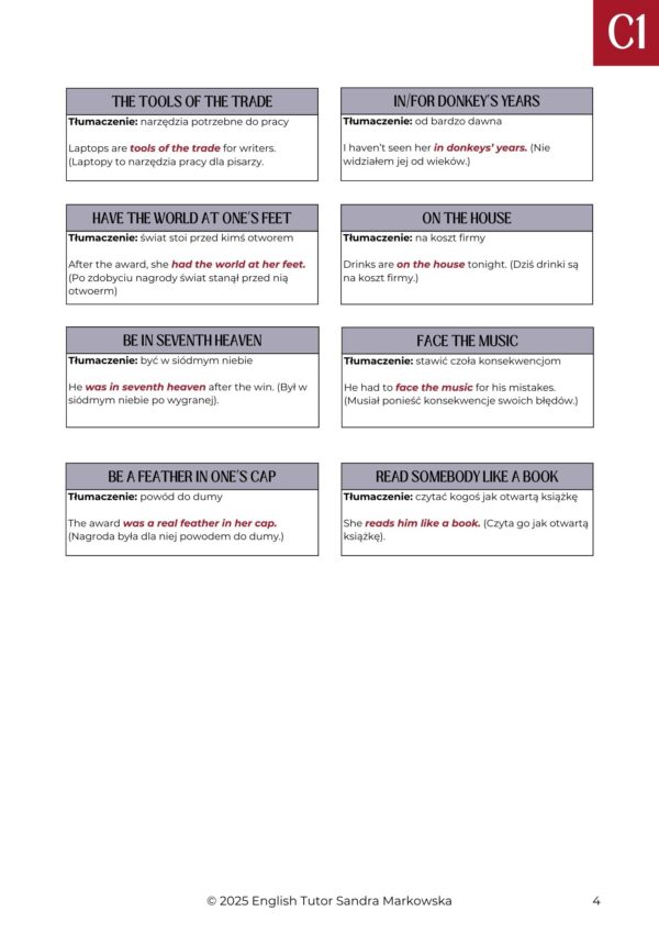 Zestaw: 300 Phrasal Verbs + 300 Collocations + 300 Idioms - obrazek 5